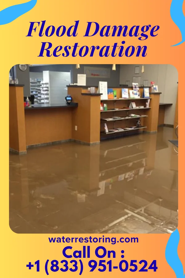 Flood Damage Restoration in Floresville, TX
